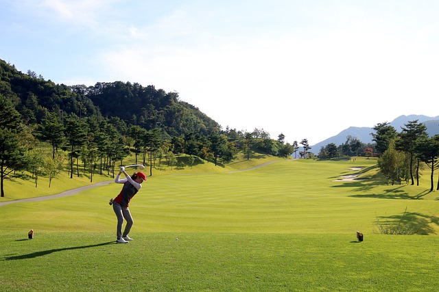 hrajeme golf